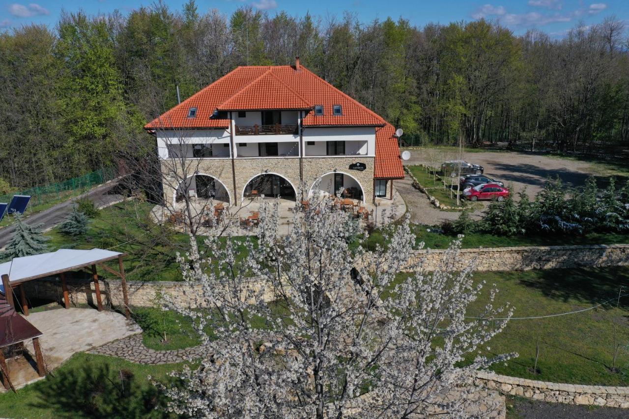 Cetatuia Hotel Măgura Kültér fotó
