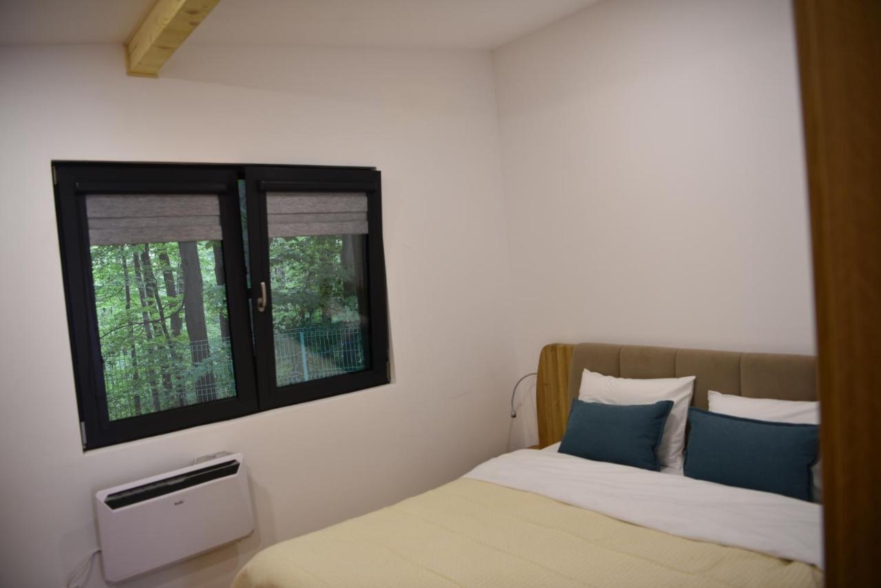 Cetatuia Hotel Măgura Kültér fotó