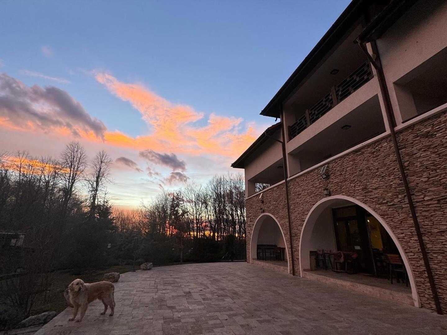 Cetatuia Hotel Măgura Kültér fotó