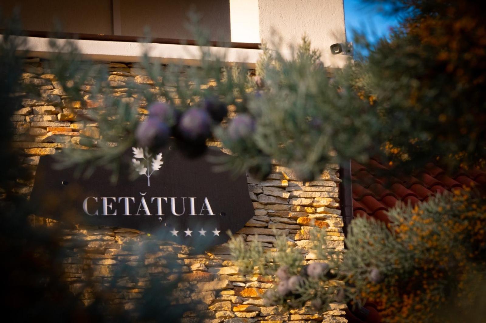 Cetatuia Hotel Măgura Kültér fotó